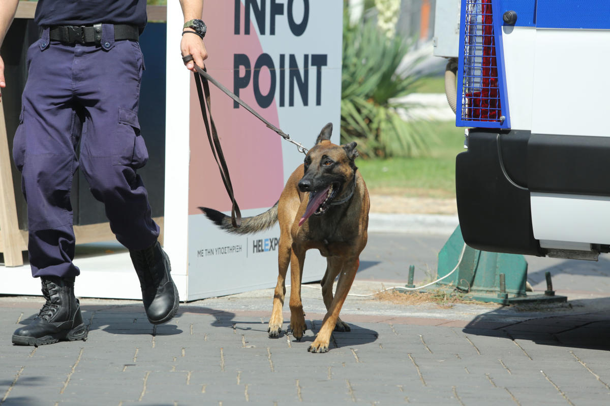 Θεσσαλονίκη: Ο αστυνομικός σκύλος «Ακύλας» ξετρύπωσε διακινητές ναρκωτικών