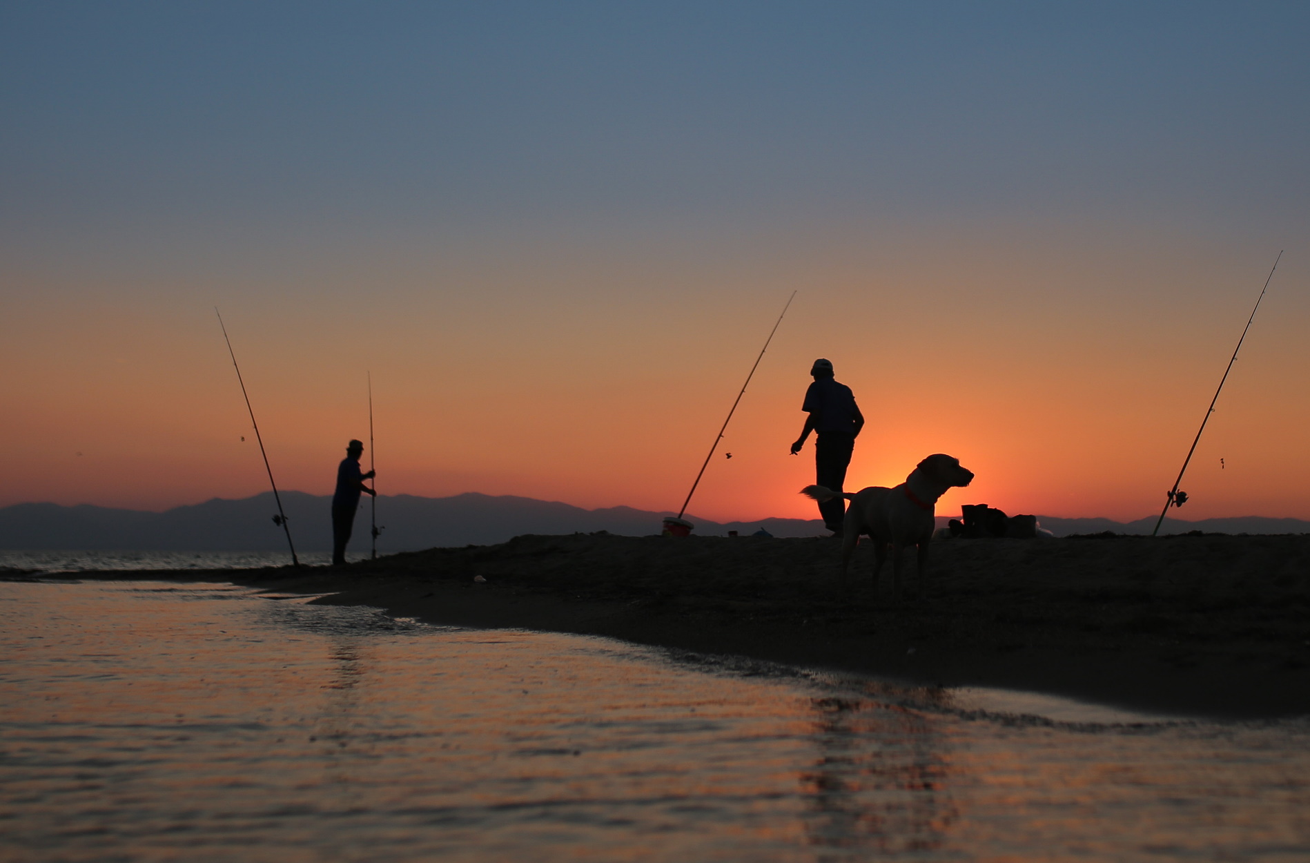 Η καλύτερη γυμναστική είναι με τον τετράποδο φίλο σου!