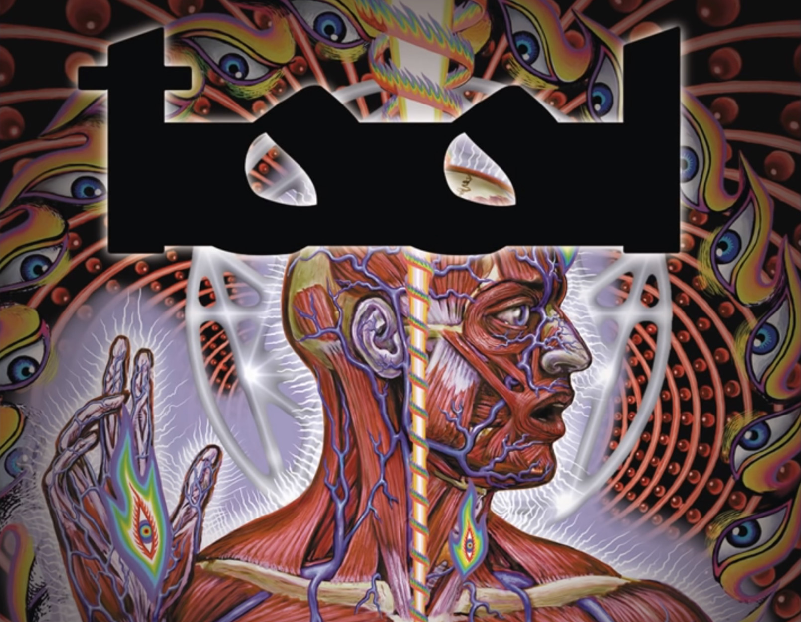 Tool: Μαθητής πήρε άδεια από το σχολείο για να δει συναυλία τους