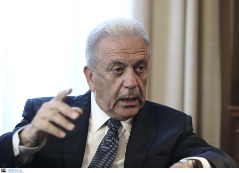 Αβραμόπουλος: Η μετανάστευση δεν μπορεί να επικρατεί στην εσωτερική πολιτική αντιπαράθεση