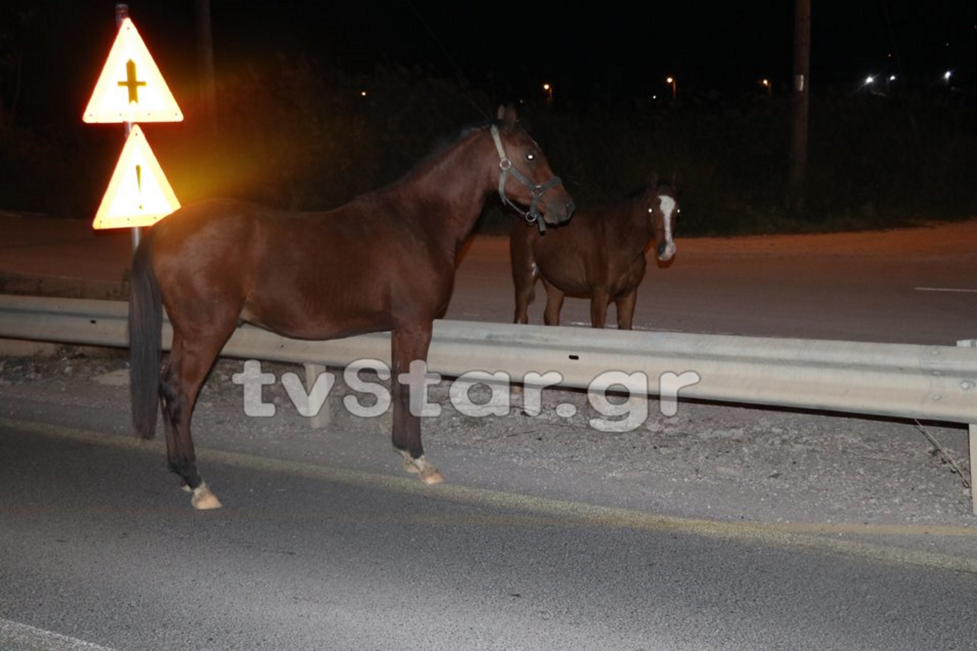 Λαμία: Αυτή ήταν η απίστευτη εξήγηση για το μποτιλιάρισμα χιλιομέτρων – Οι προσπάθειες των οδηγών – video