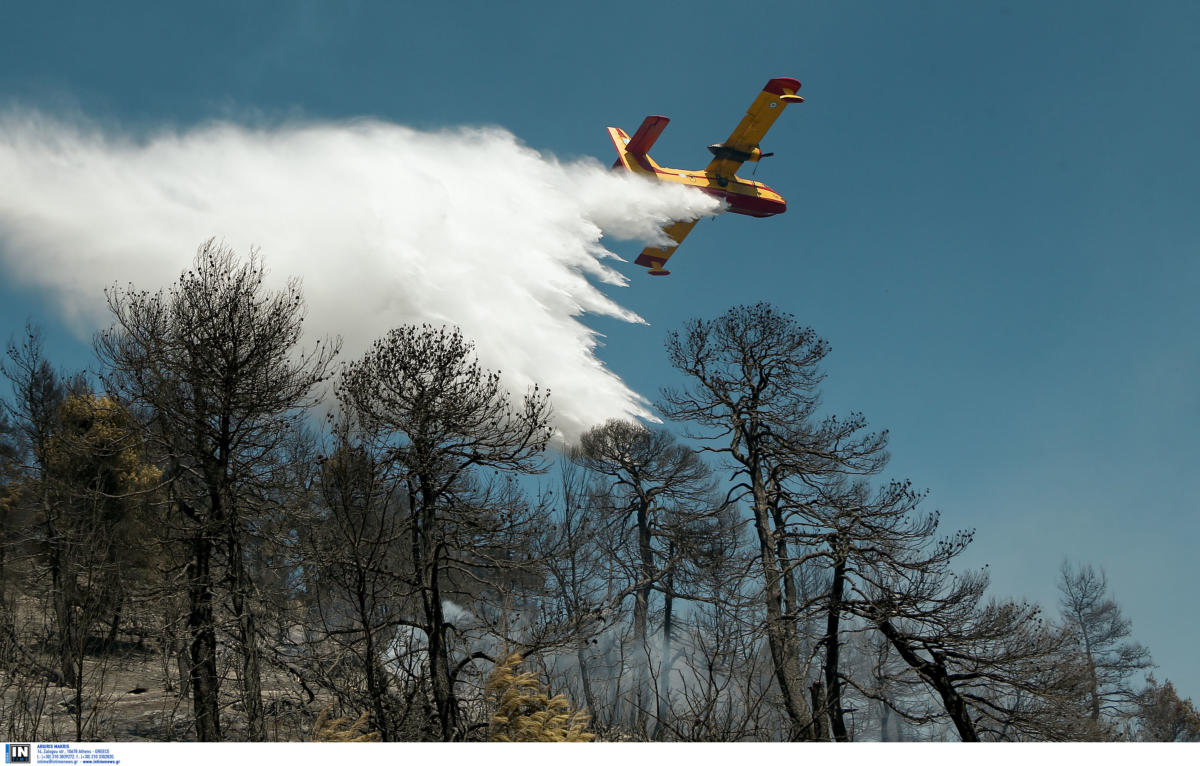 Ο τραγικός απολογισμός στη Ζάκυνθο: 7.500 στρέμματα καμένου δάσους σε 83 πυρκαγιές