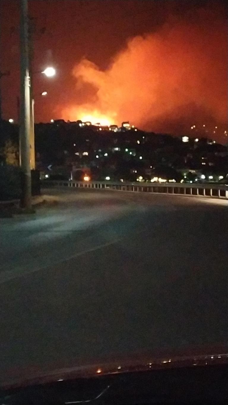 Φωτιά στο Πόρτο Ράφτη: Τέθηκε υπό μερικό έλεγχο – Ισχυρές δυνάμεις επί τόπου