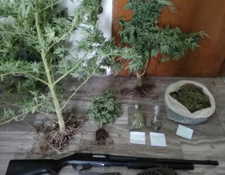 Ηράκλειο: Καλλιεργούσε μίνι… χασισόκηπο στο σπίτι του