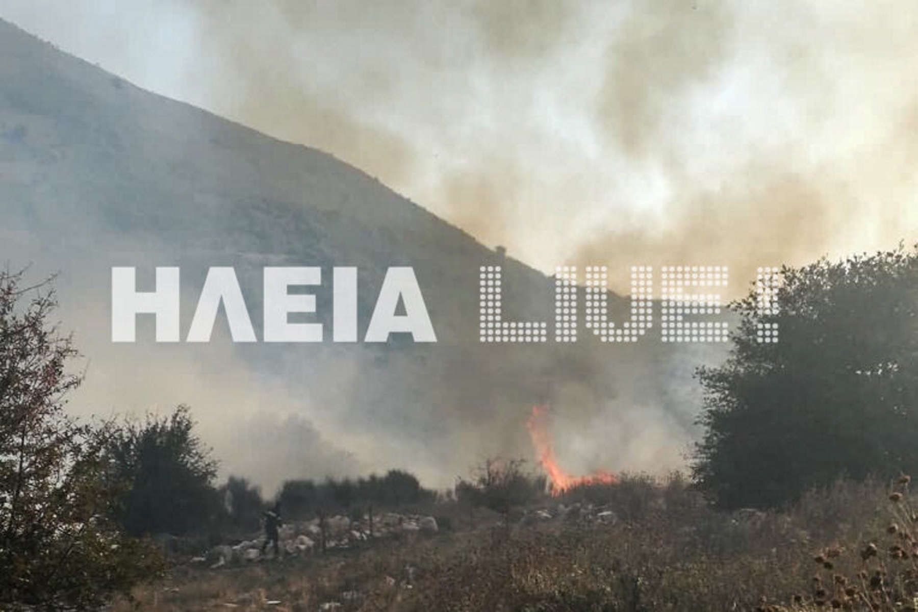 Ηλεία: “Δύσκολη” η φωτιά στις πλαγιές του Ερύμανθου