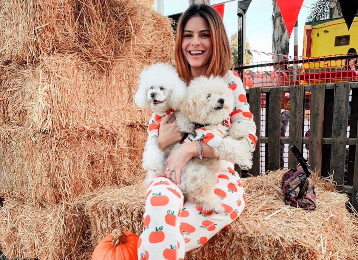Maria Menounos: Δεν σταματά να γιορτάζει το Halloween – H γιορτινή έξοδος με την οικογένειά της