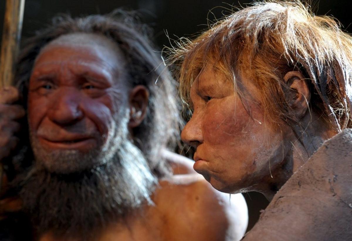 Οι προϊστορικοί άνθρωποι αποθήκευαν οστά ζώων με στόχο να καταναλώσουν αργότερα το μεδούλι