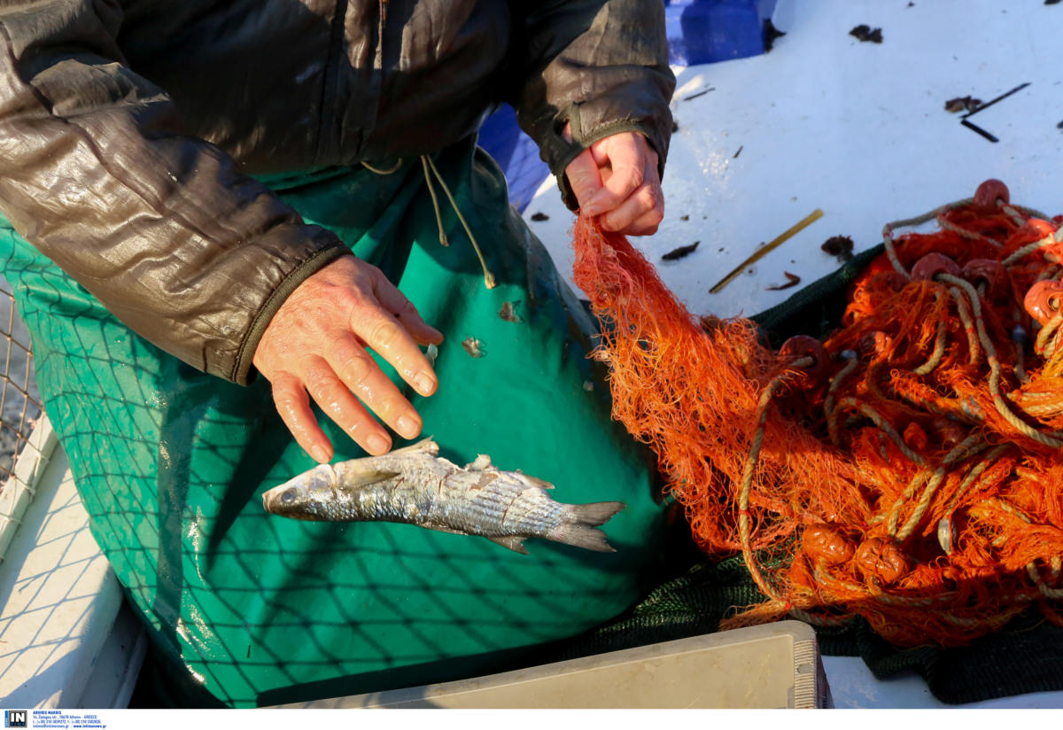 Ηράκλειο: Κατασχέθηκαν 38 τόνοι ψάρια και θαλασσινά – Πρόστιμα 20.000 ευρώ από το λιμενικό!
