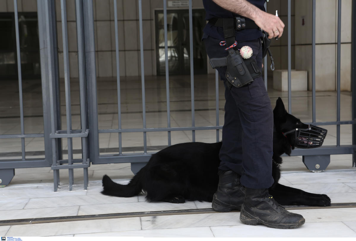 Ρόδος: Βγήκε από το πλοίο και τότε έζησε αυτό που φοβόταν – Οι στιγμές που θα θυμάται για πάντα!