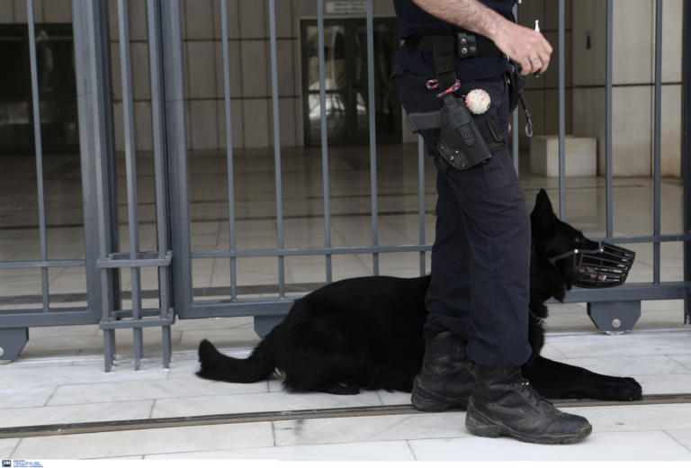 Ρόδος: Βγήκε από το πλοίο και τότε έζησε αυτό που φοβόταν – Οι στιγμές που θα θυμάται για πάντα!