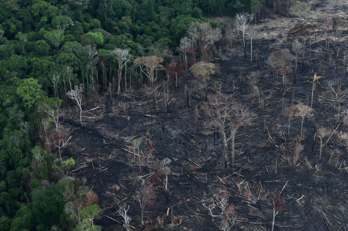 Πάνω από 10.000 τετραγωνικά χιλιόμετρα η έκταση που αποψιλώθηκε στον Αμαζόνιο