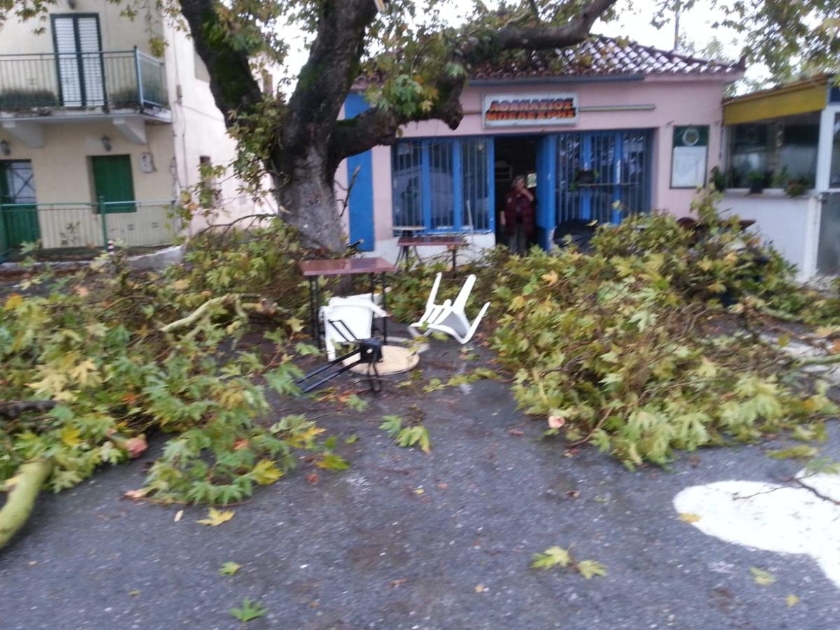Μεσσηνία: Ανεμοστρόβιλος άφησε πίσω αυτές τις εικόνες – Οι κάτοικοι κλείστηκαν στα σπίτια τους [pics]