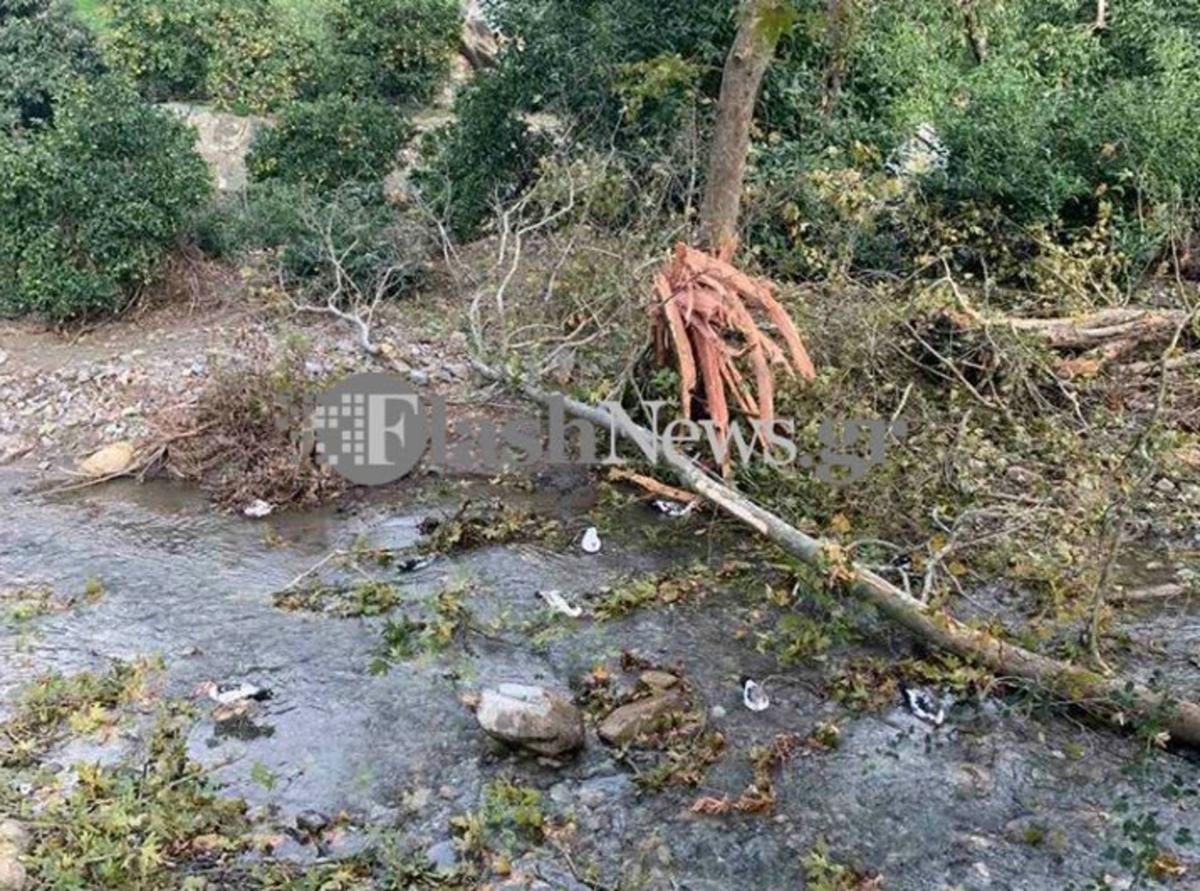 Χανιά: Δέντρο καταπλάκωσε άνδρα στον Πλατανιά – Νεκρός ο 67χρονος