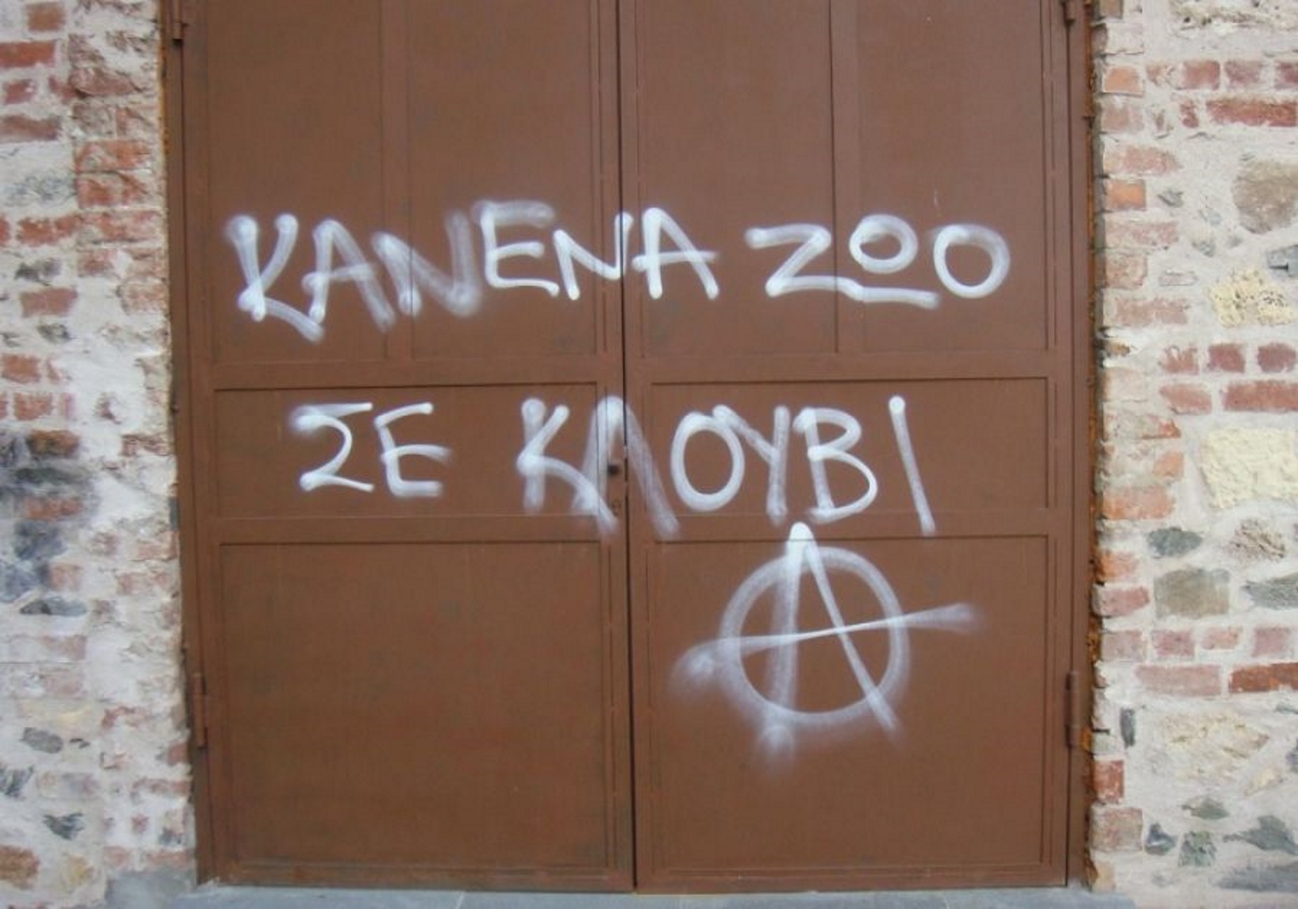 Θεσσαλονίκη: Παρέμβαση αντιεξουσιαστών στο κλαμπ που είχε σκύλους σε κλουβιά – “Θα μας βρίσκουν μπροστά τους”!