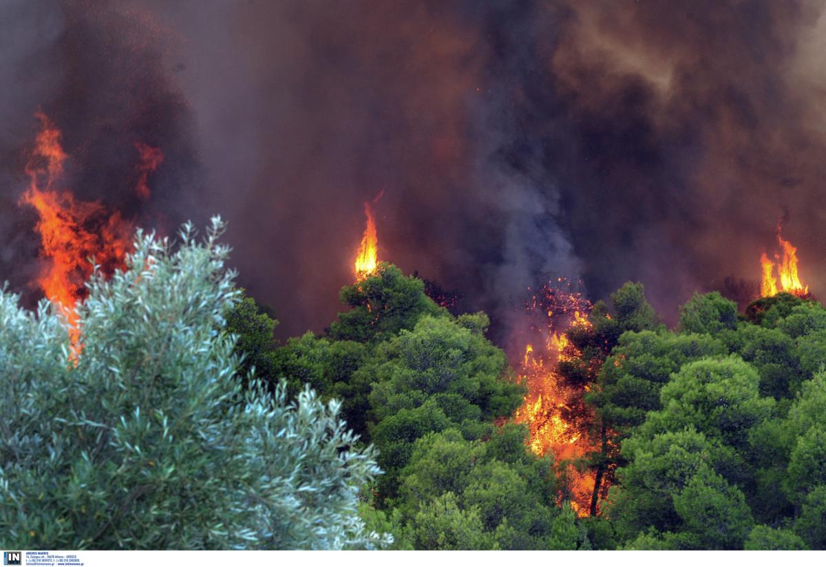 Φωτιά στους Φούρνους Ικαρίας – Επίγεια και εναέρια επιχείρηση της πυροσβεστικής
