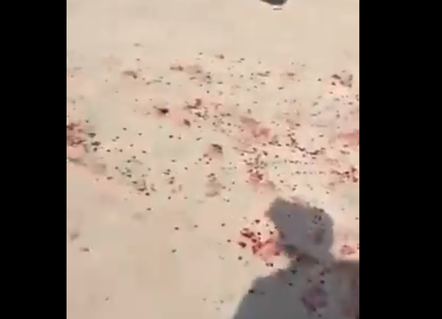 Ιορδανία: Σοκαριστικές εικόνες από την επίθεση με μαχαίρι σε αρχαιολογικό χώρο – video