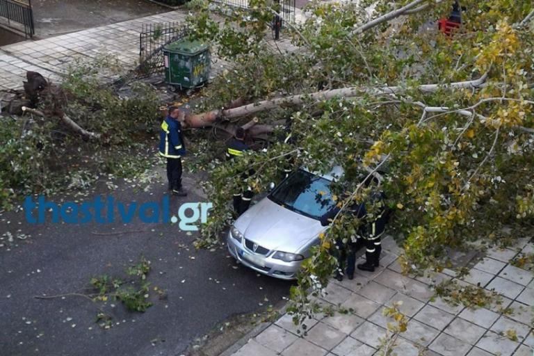 Θεσσαλονίκη: Πτώσεις δέντρων στο κέντρο της πόλης – Κλειστά σχολεία στη Χαλκιδική – video