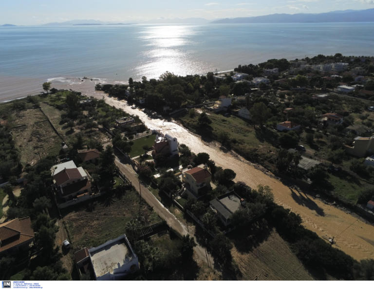 https://www.newsit.gr/wp-content/uploads/2019/11/kineta13-768x593.jpg