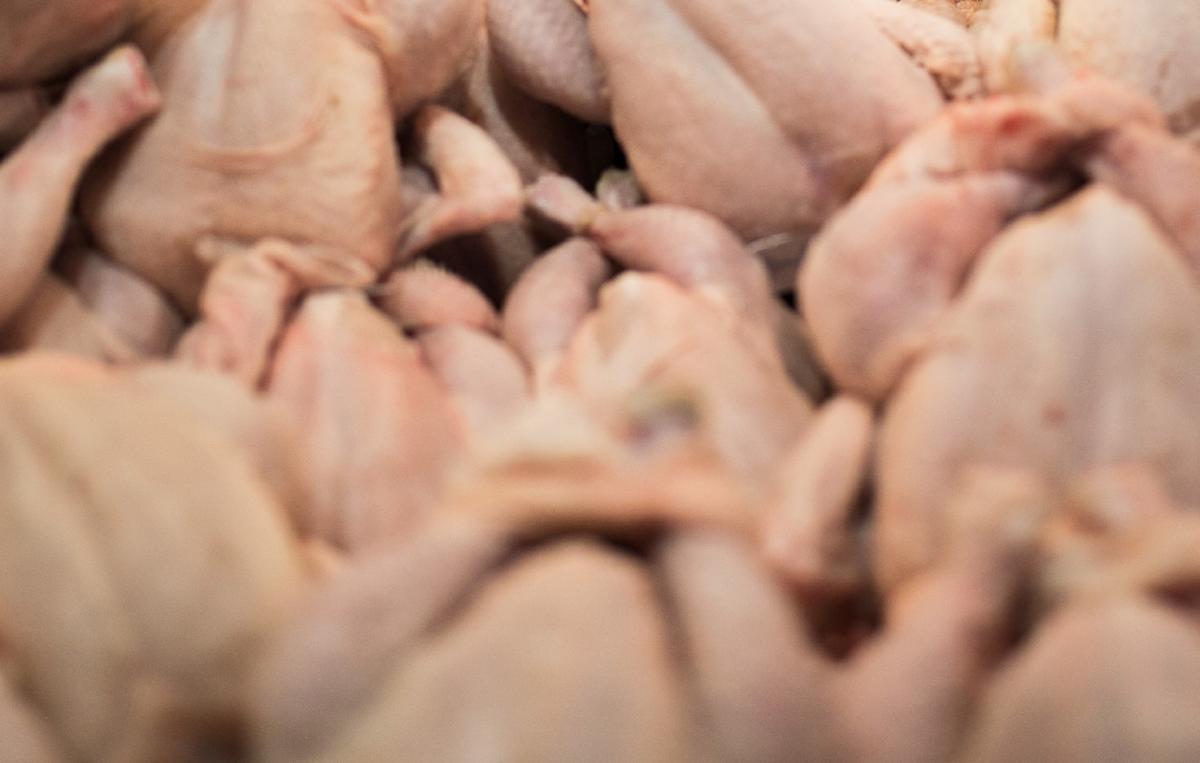Πειραιάς: Κατασχέθηκαν ακατάλληλα κοτόπουλα από ψητοπωλείο