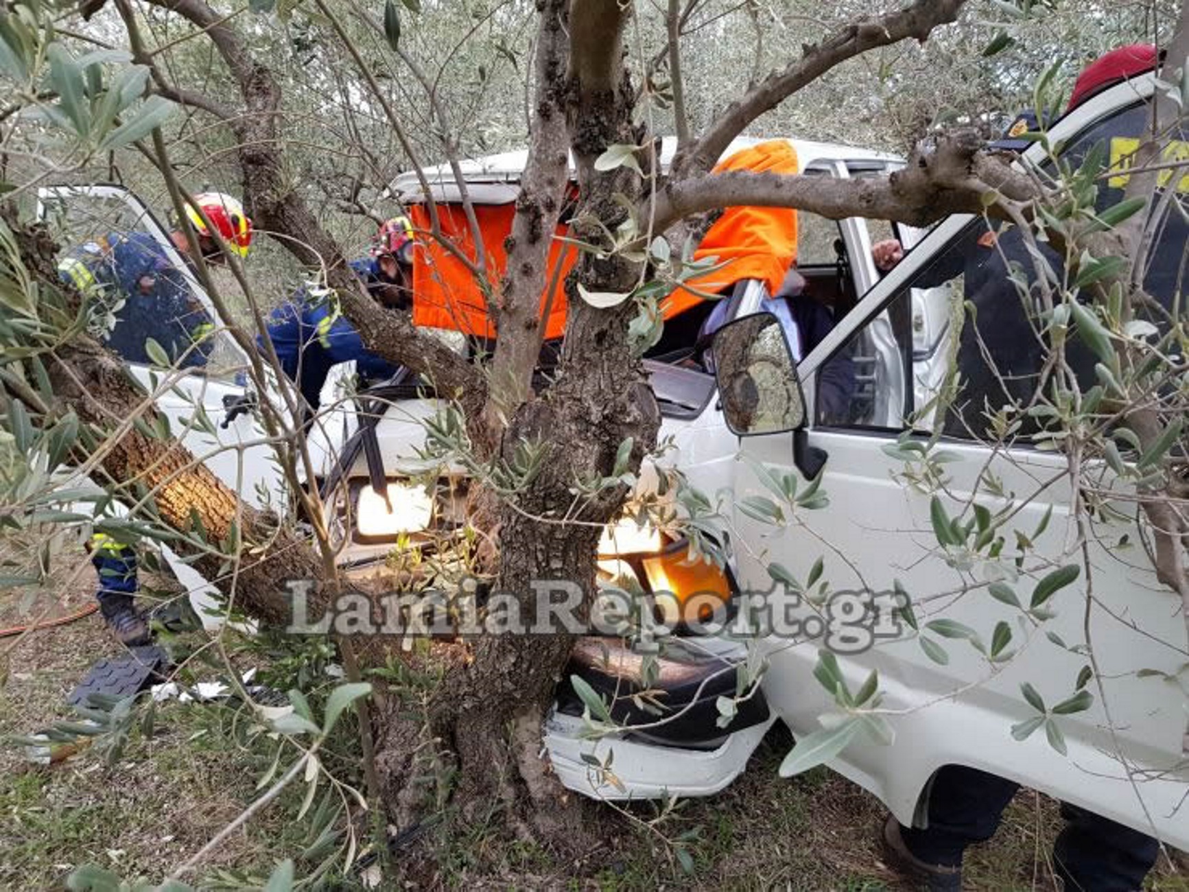 Λαμία: Το βανάκι “πέταξε” και προσγειώθηκε σε ελιά! Αποκαλυπτικές εικόνες μετά το φοβερό τροχαίο [pics]