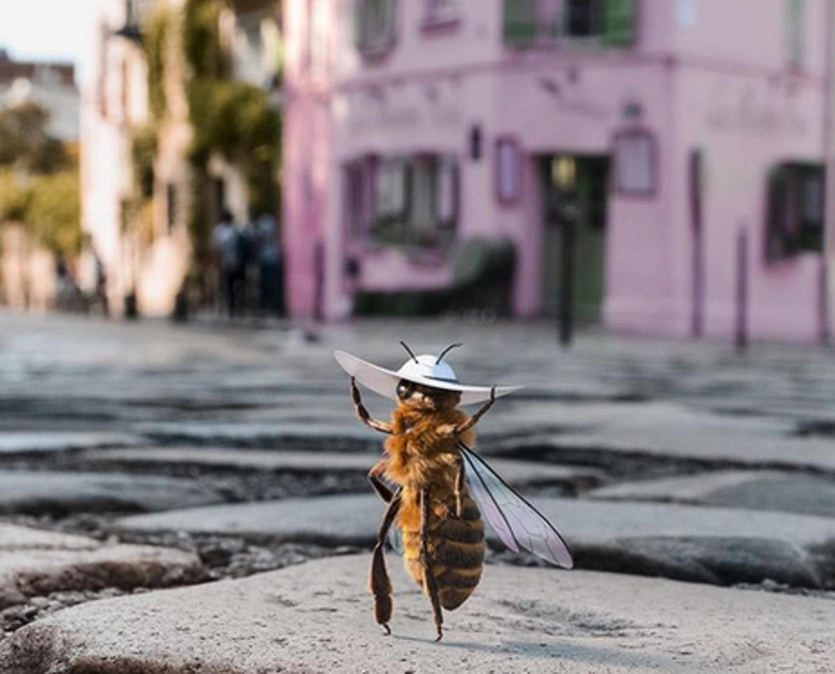 Η πρώτη μέλισσα… influencer που έχει τρελάνει το Instagram [pics]