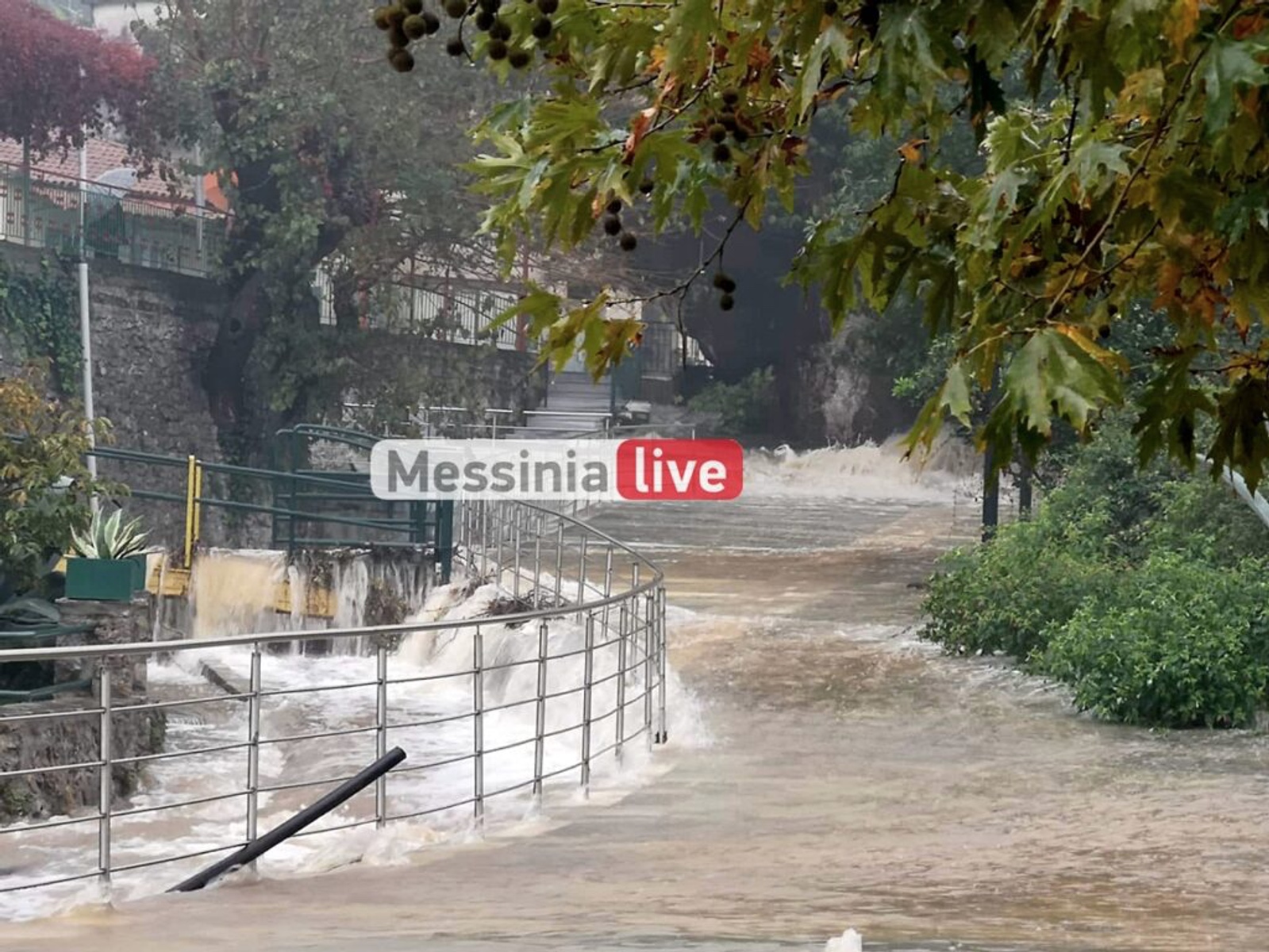 Μεσσηνία: «Πνίγηκε» ο κάμπος από τις βροχές – Ρεκόρ στα Αρφαρά – Απίστευτες εικόνες