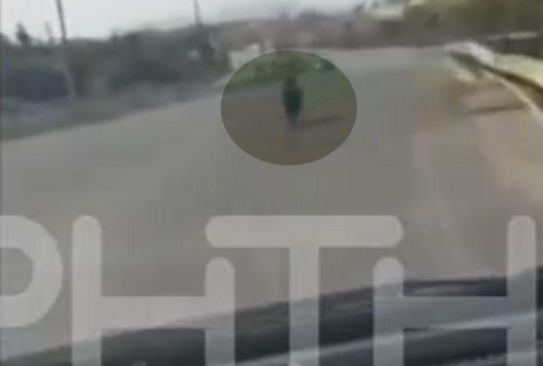 Ηράκλειο: Το πρόβατο πήγαινε σφαίρα στην εθνική οδό – Τα χρειάστηκαν οι οδηγοί που το συνάντησαν – video