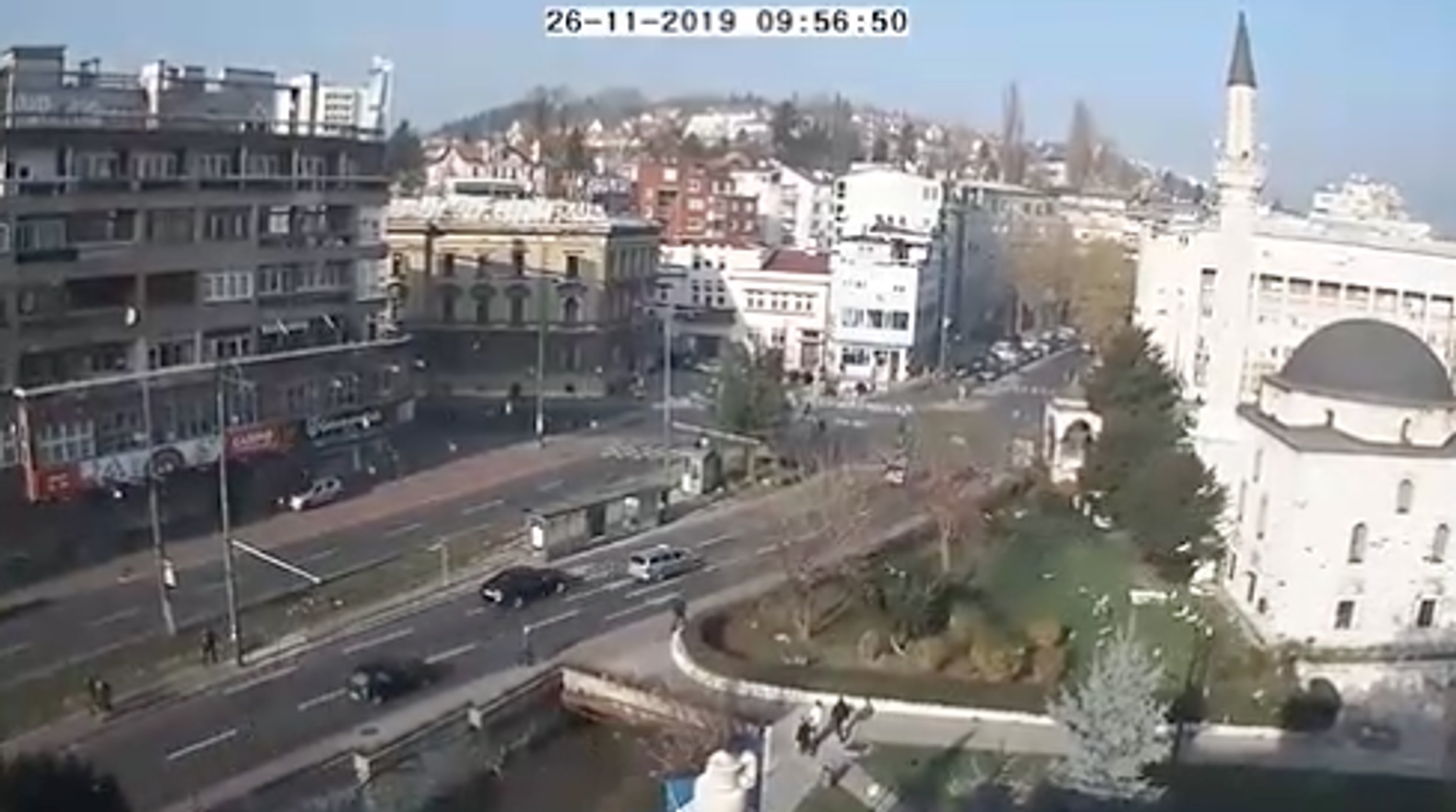 Όταν τα ζώα διαισθάνονται τον σεισμό! Απίστευτα βίντεο