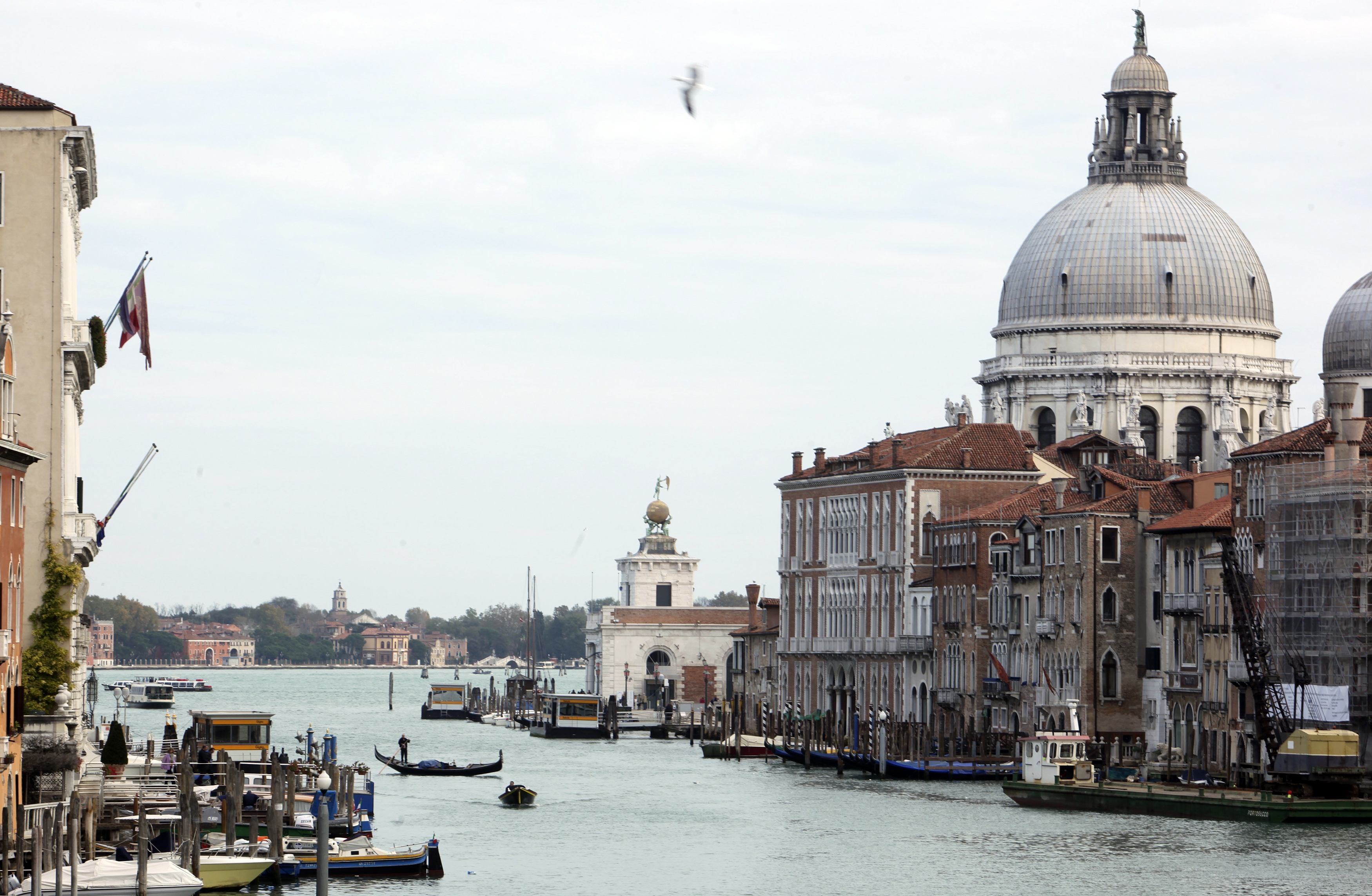 Βενετία: Γονδολιέρηδες βούτηξαν στα κανάλια για να μαζέψουν τόνους σκουπιδιών! video