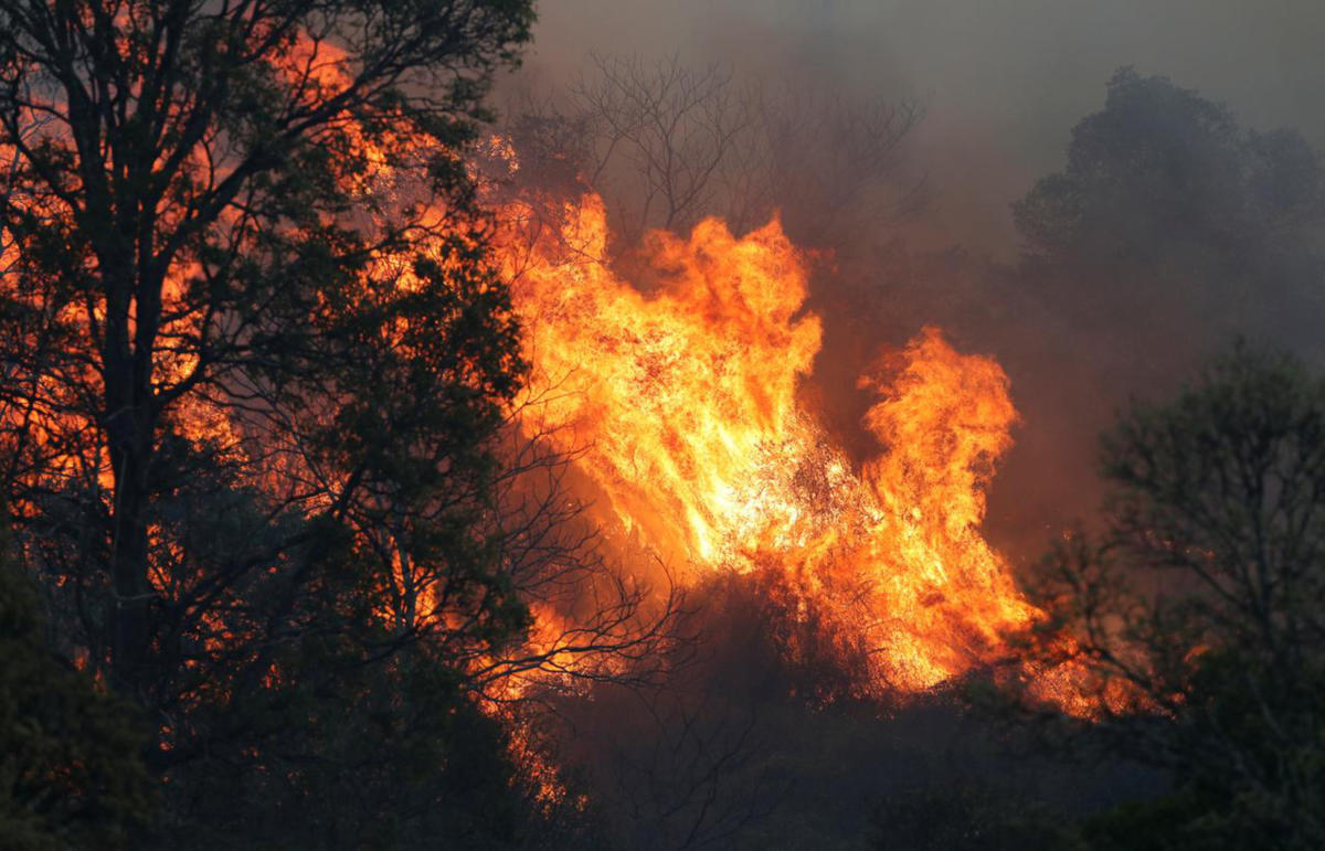 Αυστραλία: “Μαυρίζουν” την χώρα οι καταστροφικές πυρκαγιές