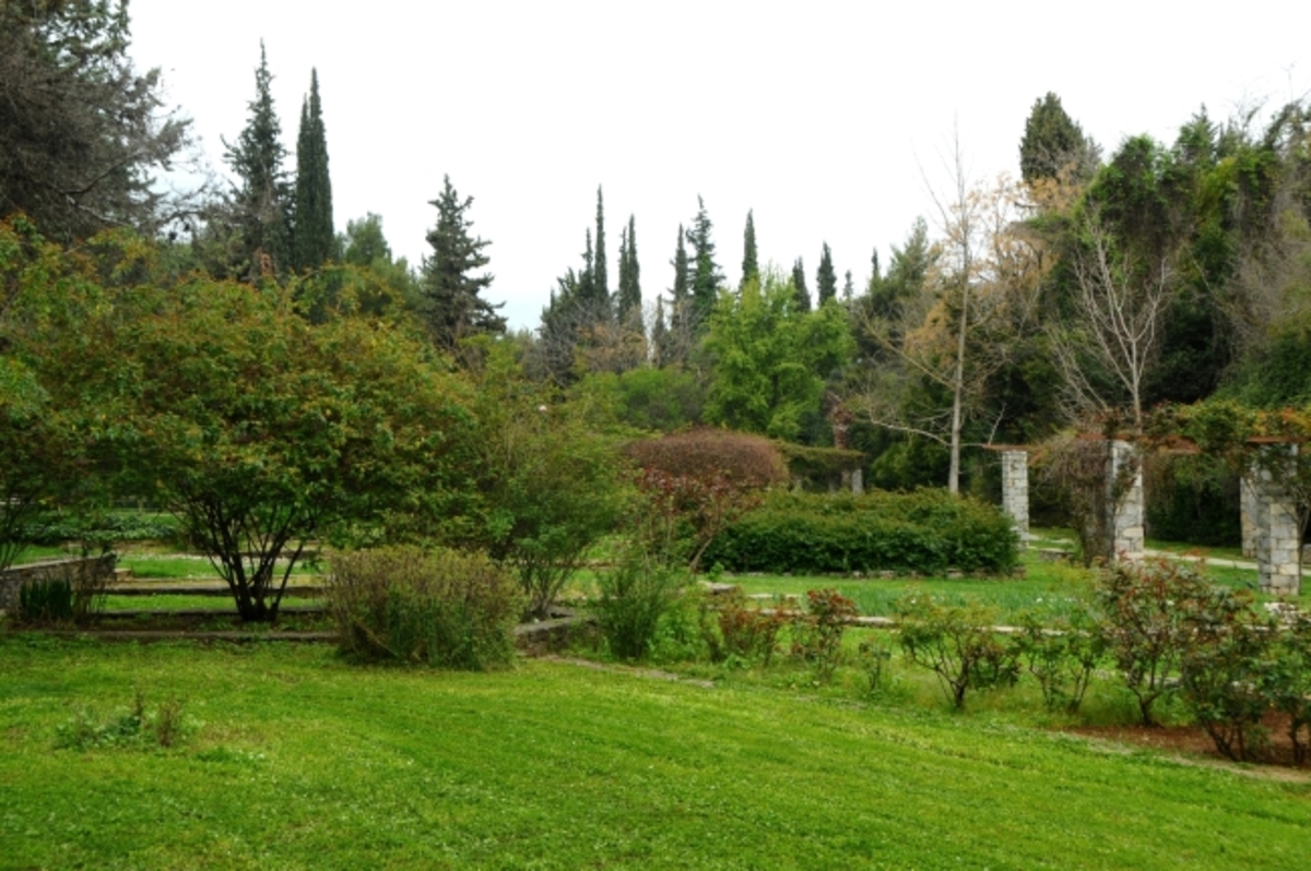 Βοτανικός Κήπος: Ένας πραγματικός παράδεισος μόλις 8 χιλιόμετρα από το κέντρο της Αθήνας!