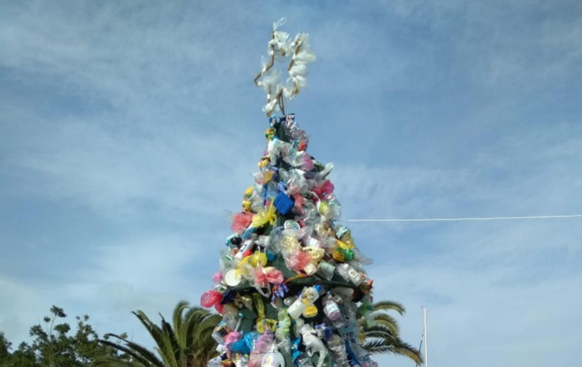 Ναύπλιο: Χριστουγεννιάτικο δέντρο διαφορετικό από τα συνηθισμένα – Μία εικόνα, χίλιες λέξεις