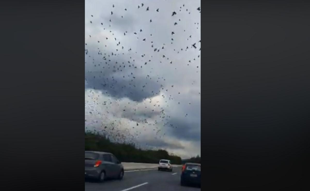 Εθνική Αθηνών – Λαμίας: Ο ουρανός γέμισε ψαρόνια! Video