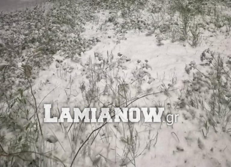 Η Ζηνοβία "κυκλώνει" την Φθιώτιδα  - Έφτασαν τα πρώτα χιόνια σε Λοκρίδα, Αμφίκλεια, Αταλάντη