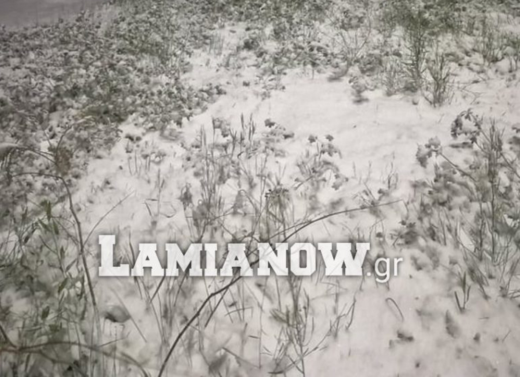 Καιρός – Ζηνοβία: Έφτασαν τα πρώτα χιόνια σε Λοκρίδα, Βόρεια και Δυτική Φθιώτιδα [video]