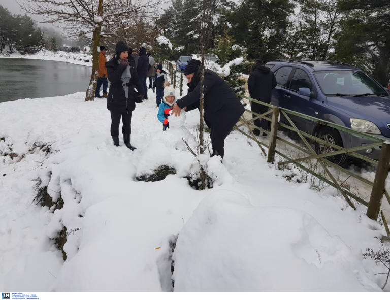 Καιρός: Η Ζηνοβία δείχνει τα δόντια της - Χιόνια, απεγκλωβισμοί και προβλήματα - Νέα επιδείνωση τις επόμενες ώρες [pics, video]