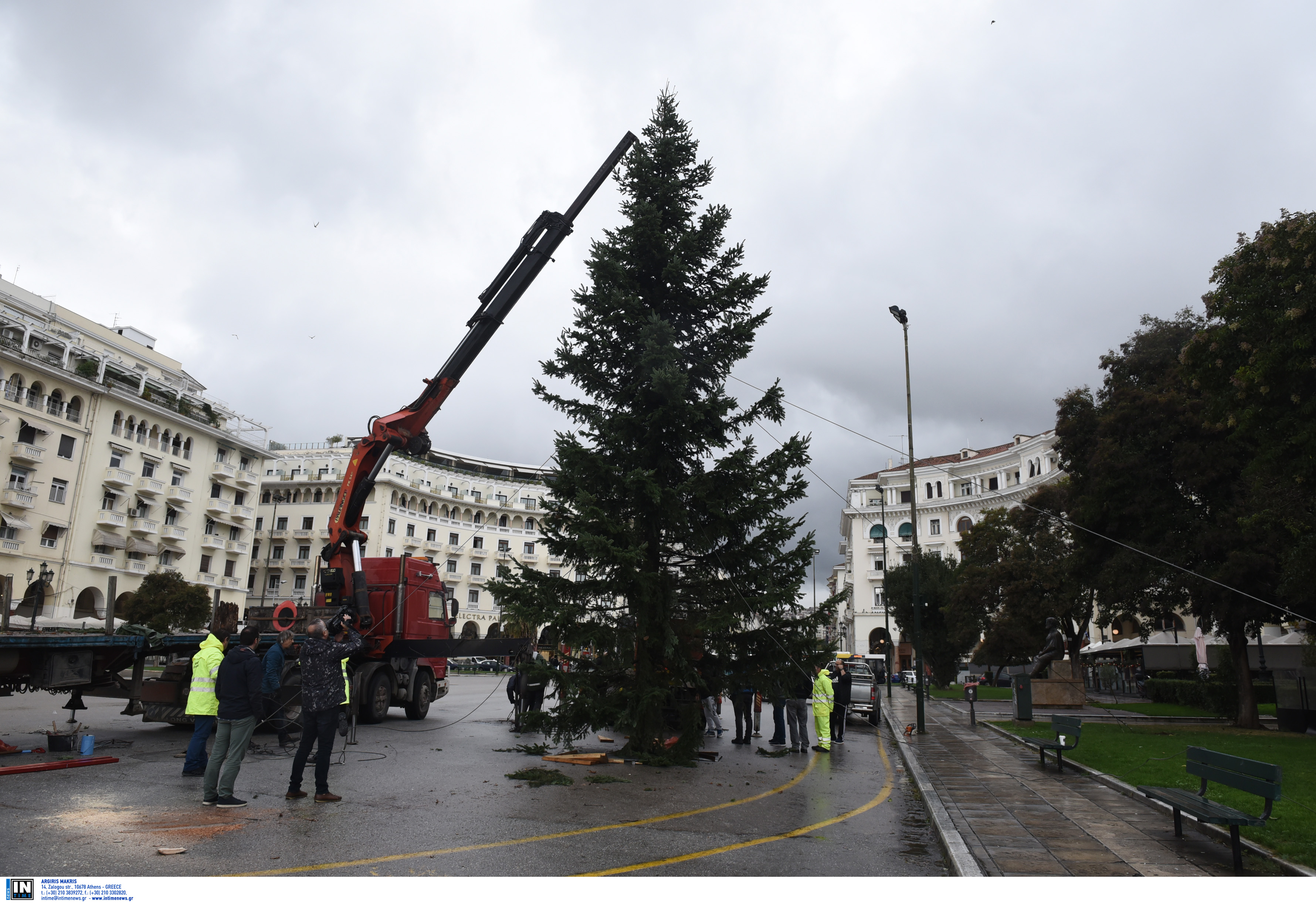 Θεσσαλονίκη: Στους 6,5 τόνους έφτασαν τα χριστουγεννιάτικα δέντρα που ανακυκλώνονται στον κεντρικό δήμο!