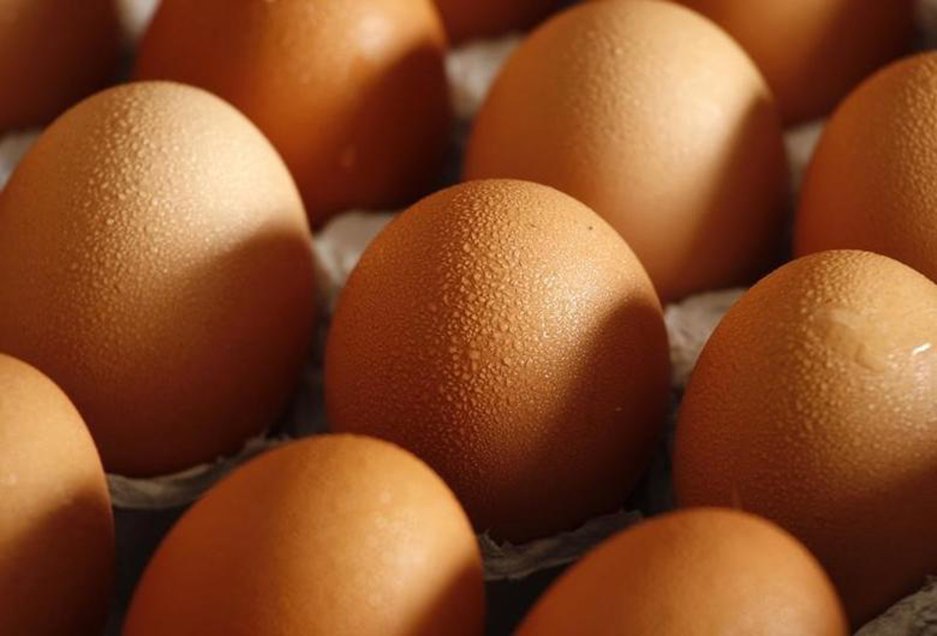 Κροατία: Γιόρτασαν τον νέο χρόνο με ομελέτα με… 2020 αυγά!