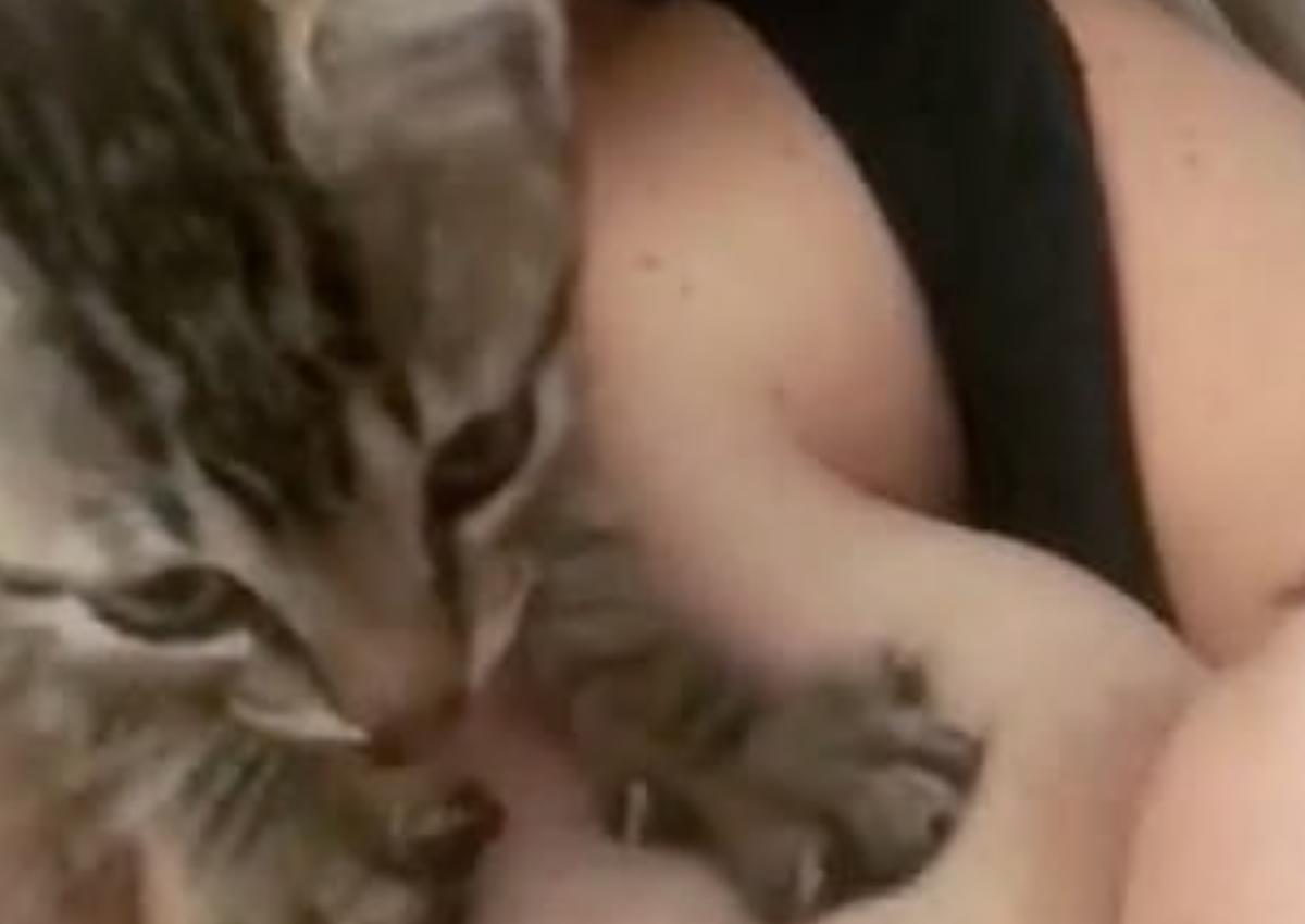 Το πιο τρυφερό video! Γάτα βοηθά μητέρα να θηλάσει το μωρό, πιέζοντας το στήθος της!