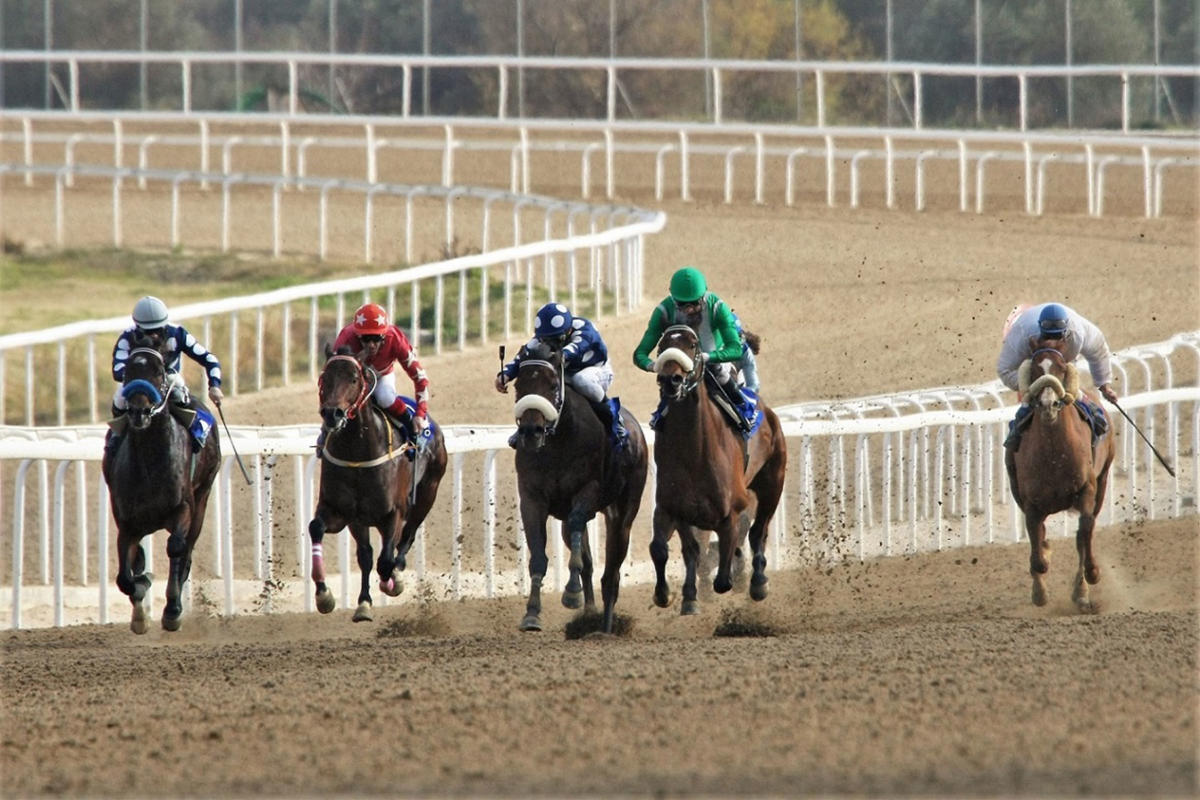 Εννέα ιπποδρομίες, τέσσερα ΣΚΟΡ και επιδότηση Γκανιάν την Κυριακή στο Markopoulo Park