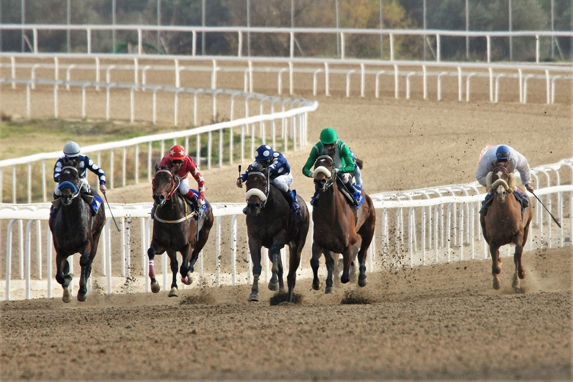 Εννέα ιπποδρομίες, τέσσερα ΣΚΟΡ και επιδότηση Γκανιάν την Κυριακή στο Markopoulo Park