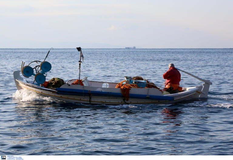 Δωδεκάνησα: Τα “θαλάσσια αγγούρια” που ψάχνουν όλο και περισσότεροι ψαράδες! Η μεγάλη διατροφική τους αξία