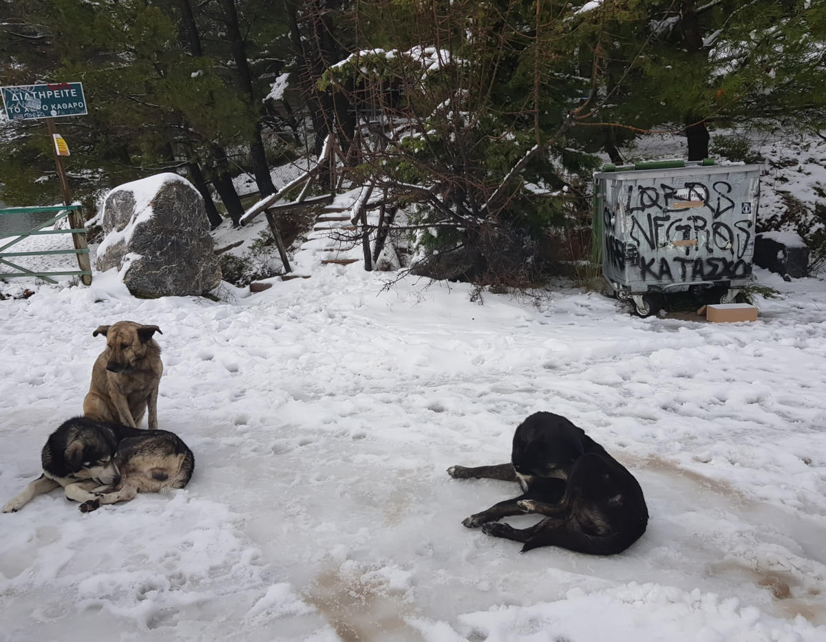 Καιρός Πρωτοχρονιά: Με χιόνια, καταιγίδες και κρύο το… ποδαρικό του 2020