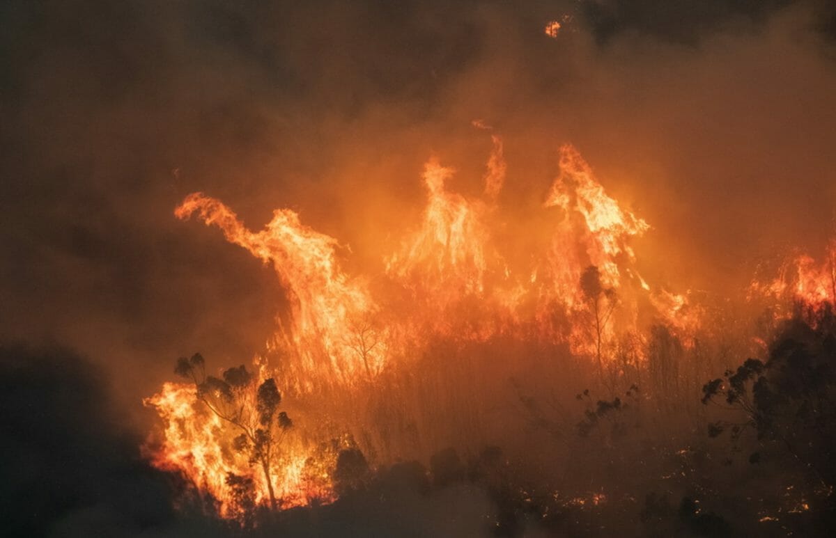 Μαίνεται η φωτιά σε δάσος στο Άγιον Όρος – Ολονύχτια “μάχη” με τις φλόγες