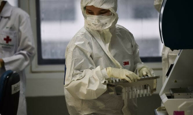 Κοροναϊός: Ο ιός διαδόθηκε περνώντας από τα ζώα, σε έναν και μόνο άνθρωπο – Νεότερα δεδομένα