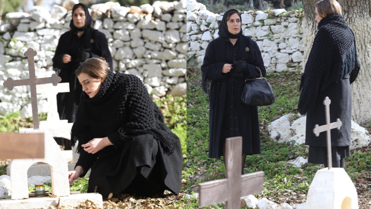 Η αλήθεια… σκοτώνει τις Άγριες Μέλισσες!