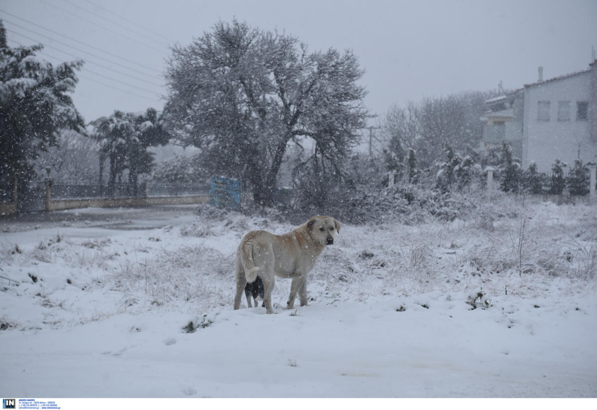 καιρός