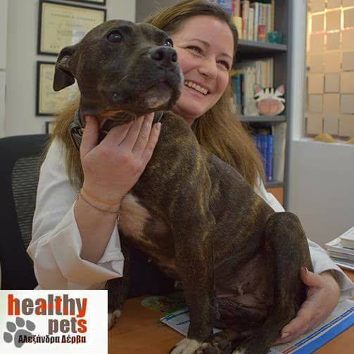 Κτηνίατρος εξηγεί αν κινδεύουμε να κολλήσουμε κορονοϊό από το κατοικίδιό μας