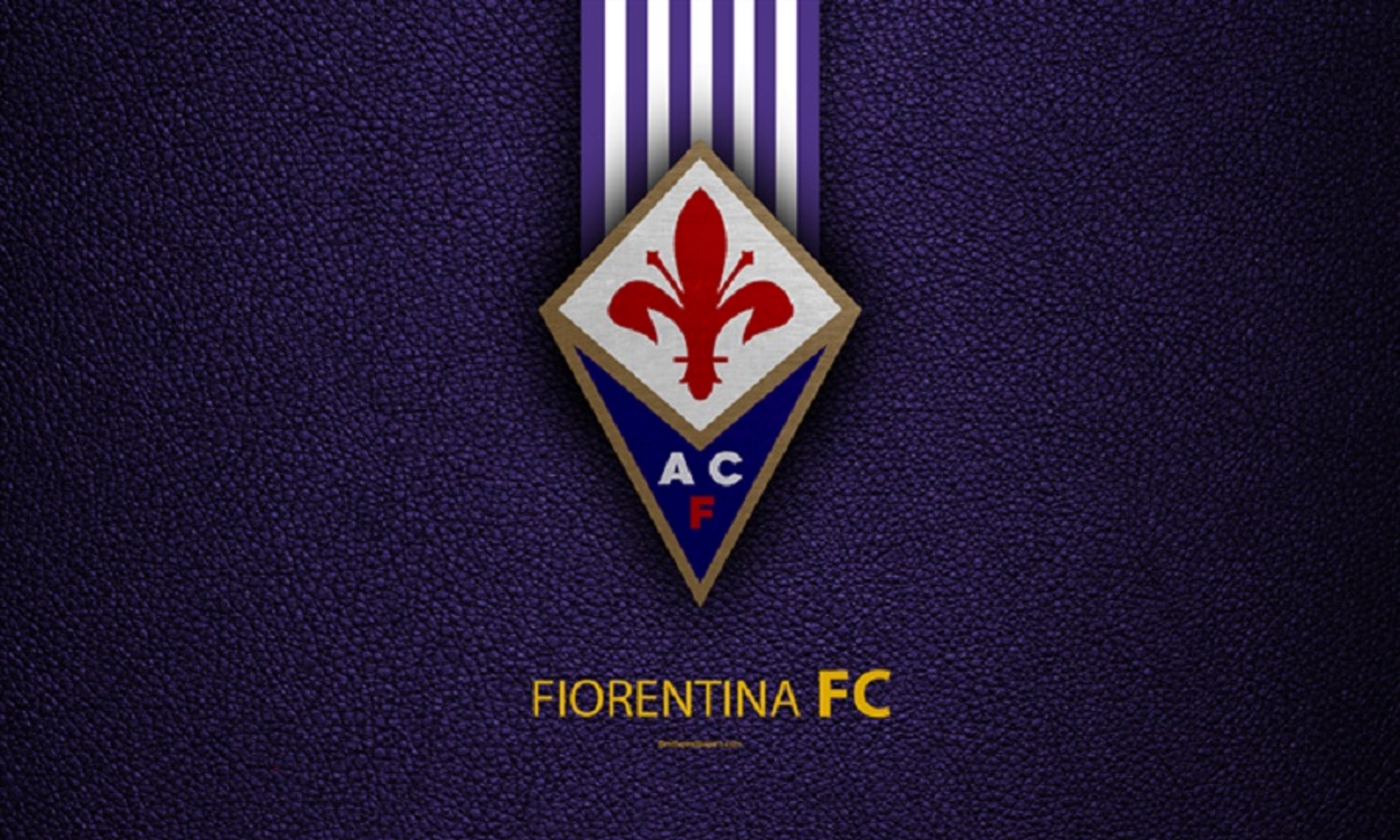 Serie A: Η Φιορεντίνα απέβαλε διά βίου τον ρατσιστή οπαδό που επιτέθηκε στον Κουλιμπαλί