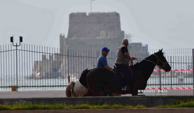 Κορονοϊός: Βόλτα με άλογα στην άδεια πόλη! video